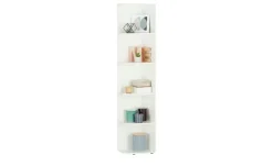 Abschlussregal Multischrank-System