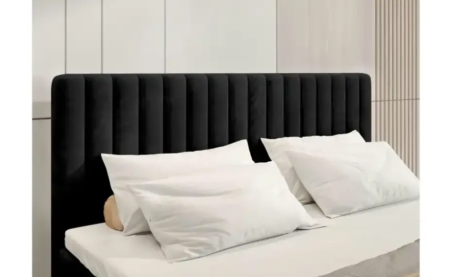 Boxbett Dream