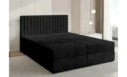Boxbett Dream