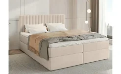 Boxbett Dream