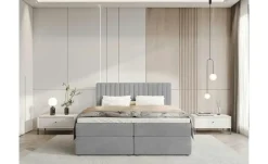 Boxbett Dream