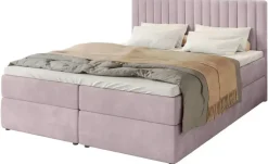 Boxbett Dream