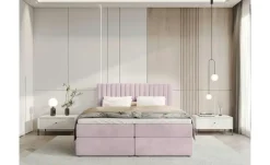Boxbett Dream