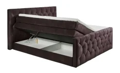 Boxspringbett Cashfield