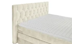 Boxspringbett Cashfield