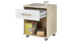 Container Cariba