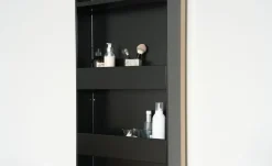 Drehspiegelschrank Steyr