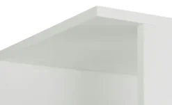 Eckregal