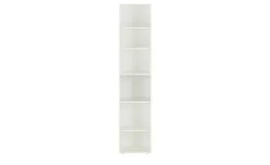 Eckregal Multischrank-System
