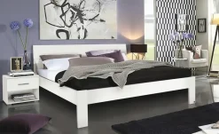Futonbett Flexx