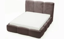 GrainGold Polsterbett mit Stauraum Bubble
