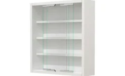 Hängevitrine