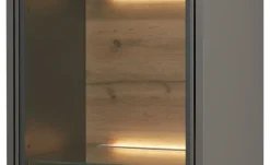 Hängevitrine Light Line 10