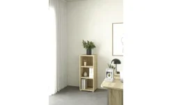 Regal Saale