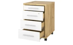 Rollcontainer Peene