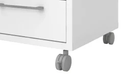 Rollcontainer Saale