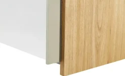 Schwebetürenschrank Magicglas